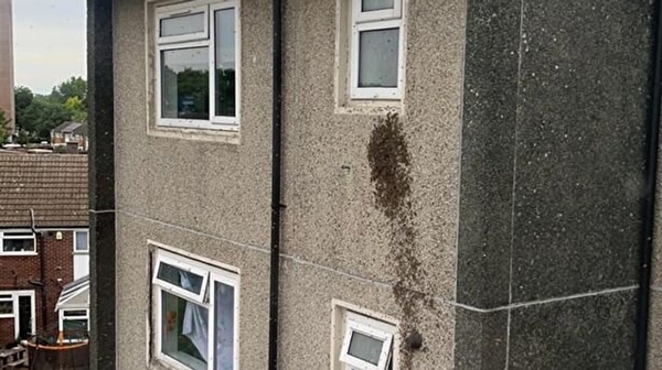 Foto - Kimi otele kaçıyor, kimi kendini eve kilitliyor! Bu pencere sizin olsa ne yapardınız?