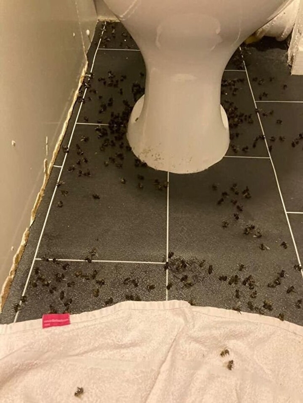 Foto - Kimi otele kaçıyor, kimi kendini eve kilitliyor! Bu pencere sizin olsa ne yapardınız?