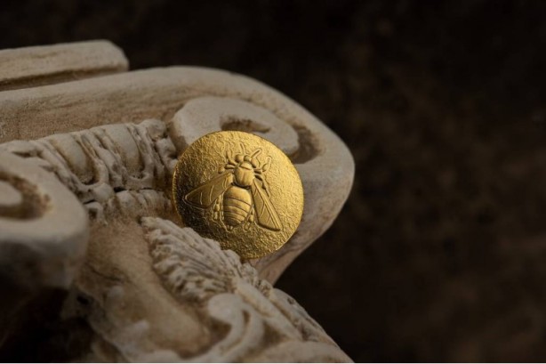 Foto - Kimimiz seviyoruz kimimiz korkuyoruz! Arılar hakkında bilmeniz gereken 25 gerçek