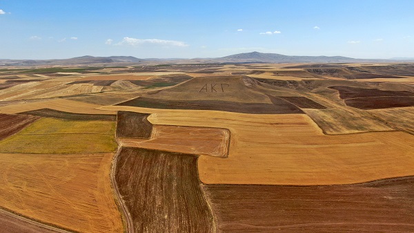 Kimin yazdığı bulunamadı! Görüp okuyanlar şaşırıp kalıyor