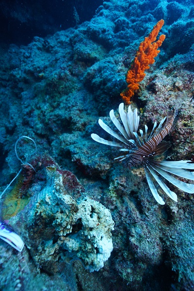 Foto - Kimisi milattan önceye ait! 