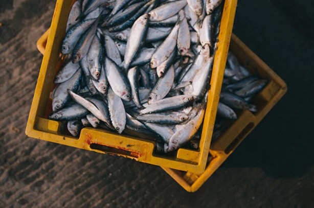 Foto - Kimse bu tüyoları bilmiyor! İşte balık pişirmenin püf noktaları…