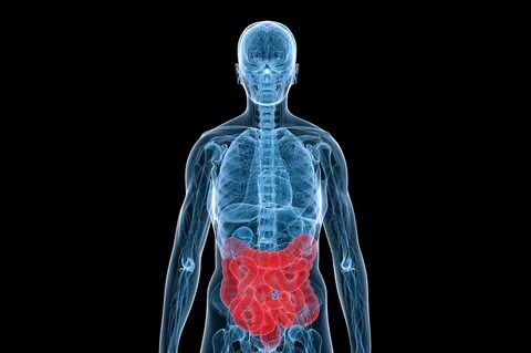 Foto - Kimse bunu bilmiyor! İşte vücudu en hızlı zehirleyen besin…