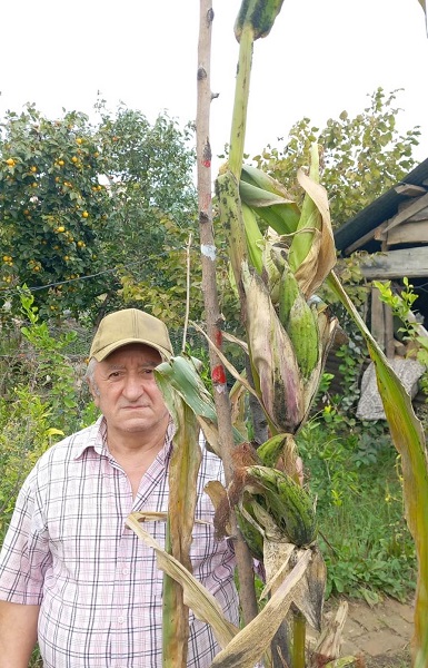 Foto - Kimse gözlerine inanamadı! 