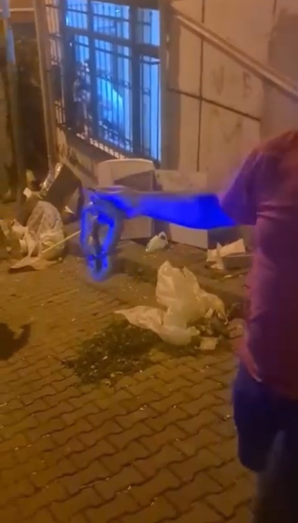 Foto - Kimse gözlerine inanamadı! Amazon Ormanı değil Kağıthane