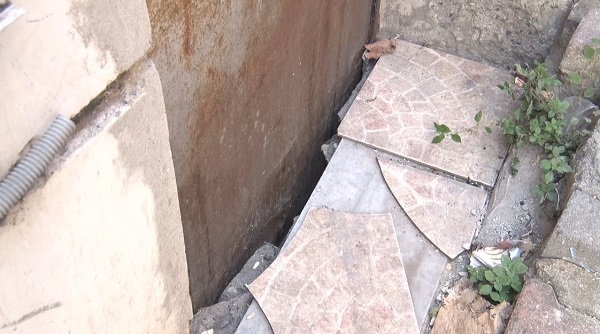 Foto - Kimse gözlerine inanamadı! Amazon Ormanı değil Kağıthane