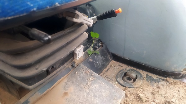 Foto - Kimse gözlerine inanamadı! Demir yığınlarının arasında şaşırtan manzara