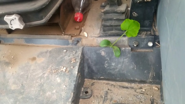 Foto - Kimse gözlerine inanamadı! Demir yığınlarının arasında şaşırtan manzara