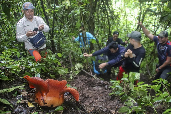 Foto - Kimse gözlerine inanamadı! Nadir görülen çiçek o ülkede açtı