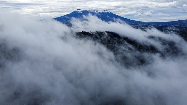 Foto - Kimse gözlerine inanamadı! Nadir görülen çiçek o ülkede açtı