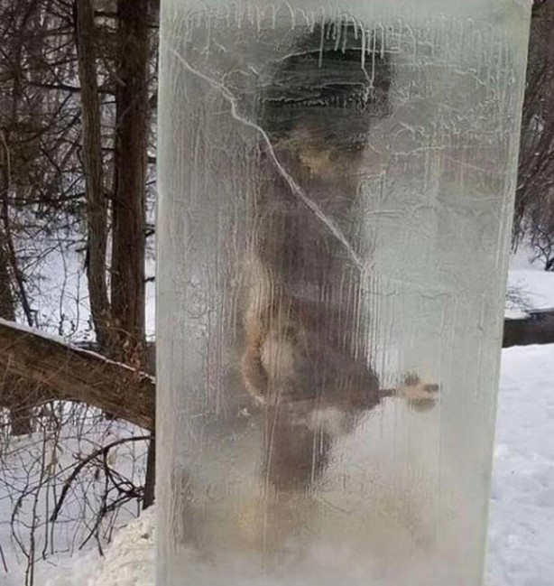 Foto - Kimse gözlerine inanamadı! Parkta donmuş halde bulundu