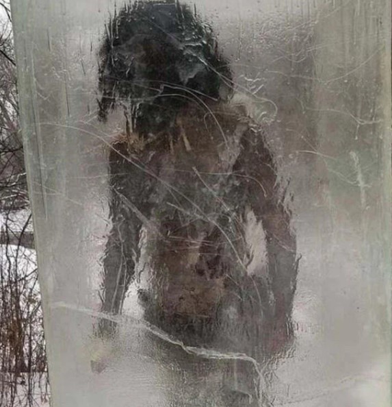 Foto - Kimse gözlerine inanamadı! Parkta donmuş halde bulundu