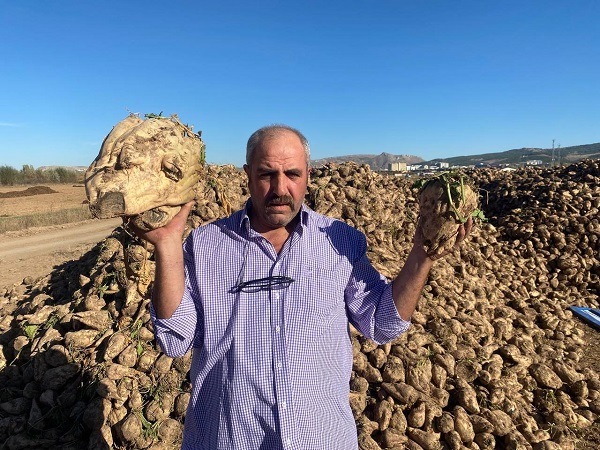 Foto - Kimse gözlerine inanamıyor! Bir tanesi mutfak tüpü kadar