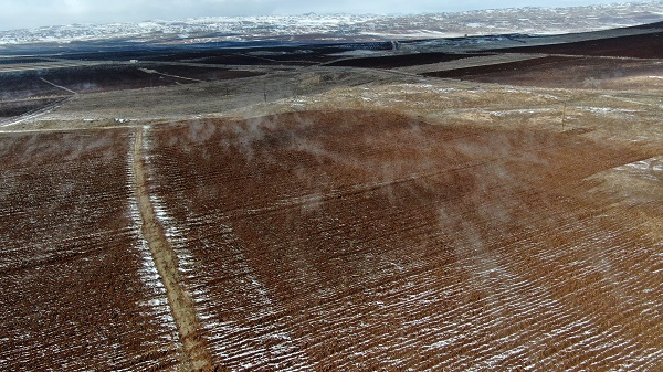 Foto - Kimse gözlerine inanamıyor! Bu tarlanın gizemi çözülebilecek mi? 