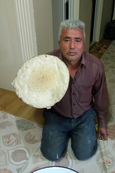 Foto - Kimse gözlerine inanamıyor! Böyle mantar görülmedi