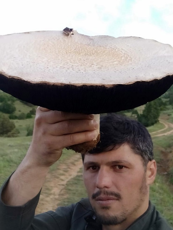 Foto - Kimse gözlerine inanamıyor! Böyle mantar görülmedi