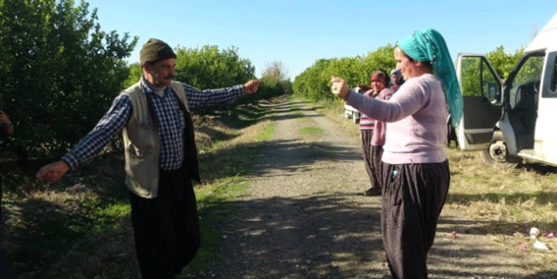 Foto - Kimse ne olduğunu anlamadı Hasadı bırakıp oynamaya başladılar