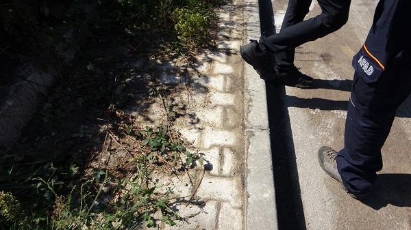 Foto - Kimse ne olduğunu anlayamadı! Mahalleyi ayağa kaldıran koku