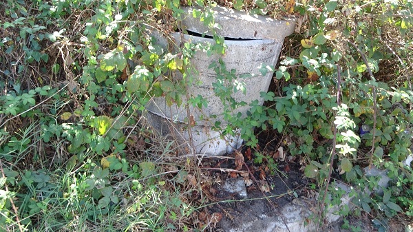 Foto - Kimse ne olduğunu anlayamadı! Mahalleyi ayağa kaldıran koku