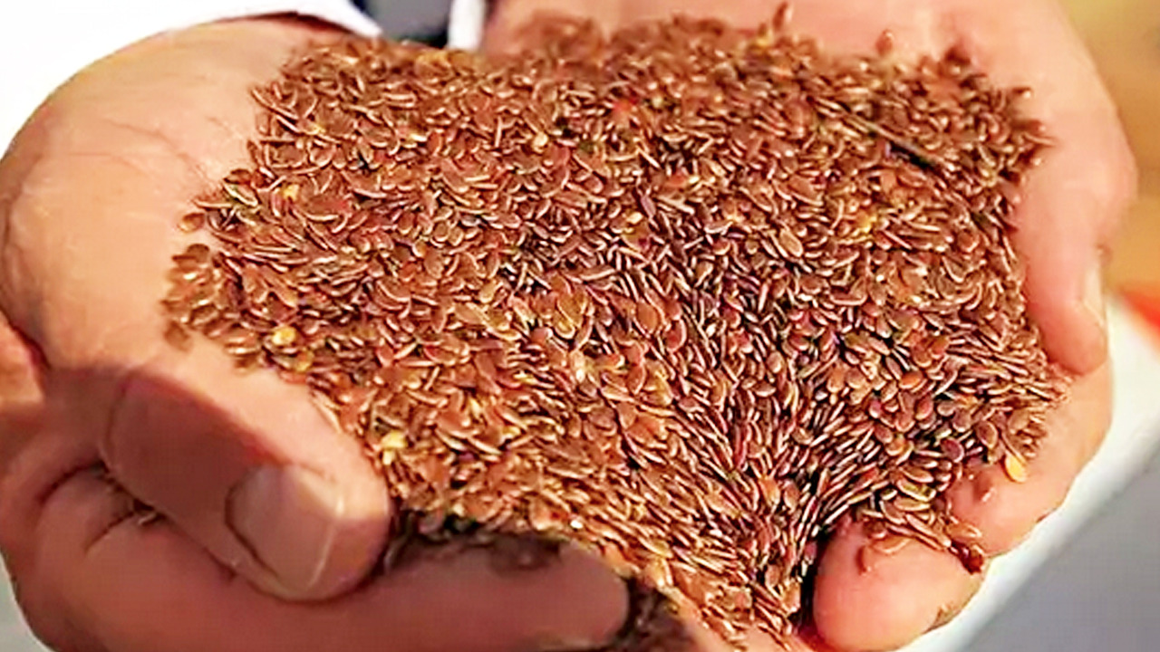 Kimse satın almıyor ama faydası saymakla bitmiyormuş! 