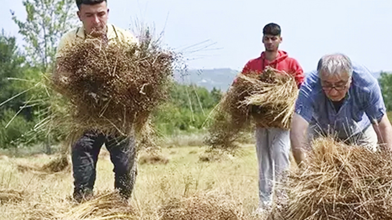 Foto - Kimse satın almıyor ama faydası saymakla bitmiyormuş! 