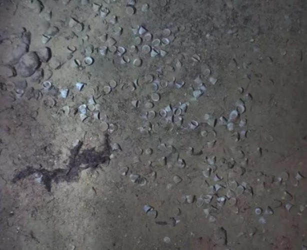 Foto - Kimse yanına yaklaşamıyor! İşte tarihin en büyük definesi