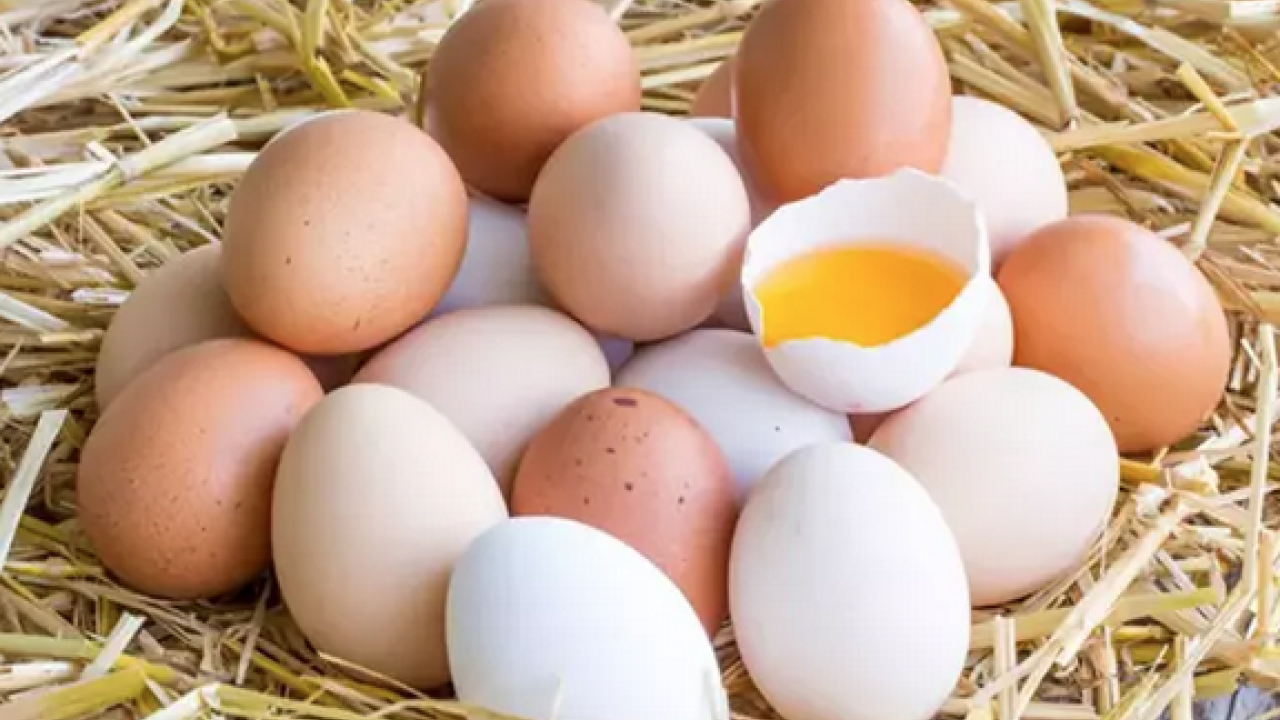 Foto - Kimse yüzüne bakmıyor ama tam bir kolajen deposu! Genç kalmanın sırrı olarak biliniyor: Kahvaltıda yenebilecek en iyi besin