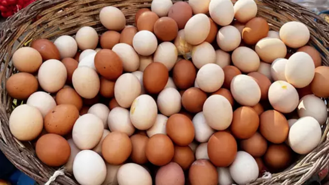 Foto - Kimse yüzüne bakmıyor ama tam bir kolajen deposu! Genç kalmanın sırrı olarak biliniyor: Kahvaltıda yenebilecek en iyi besin