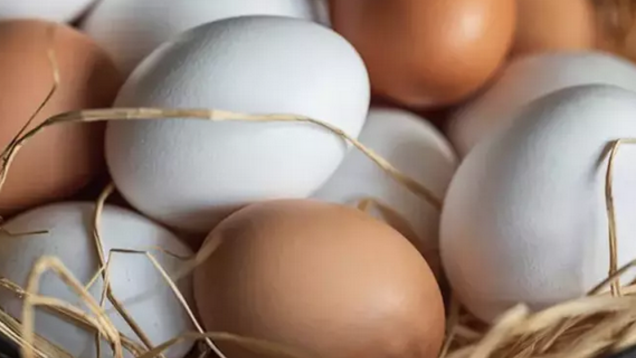 Foto - Kimse yüzüne bakmıyor ama tam bir kolajen deposu! Genç kalmanın sırrı olarak biliniyor: Kahvaltıda yenebilecek en iyi besin