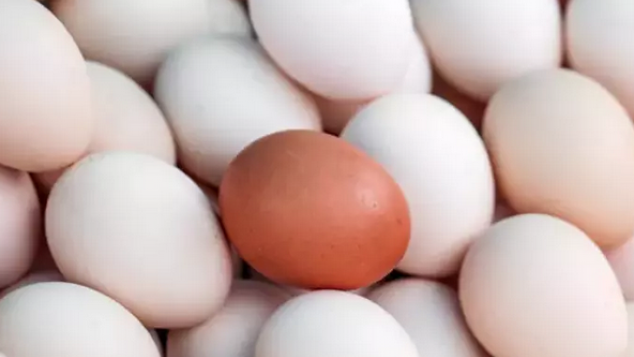 Foto - Kimse yüzüne bakmıyor ama tam bir kolajen deposu! Genç kalmanın sırrı olarak biliniyor: Kahvaltıda yenebilecek en iyi besin