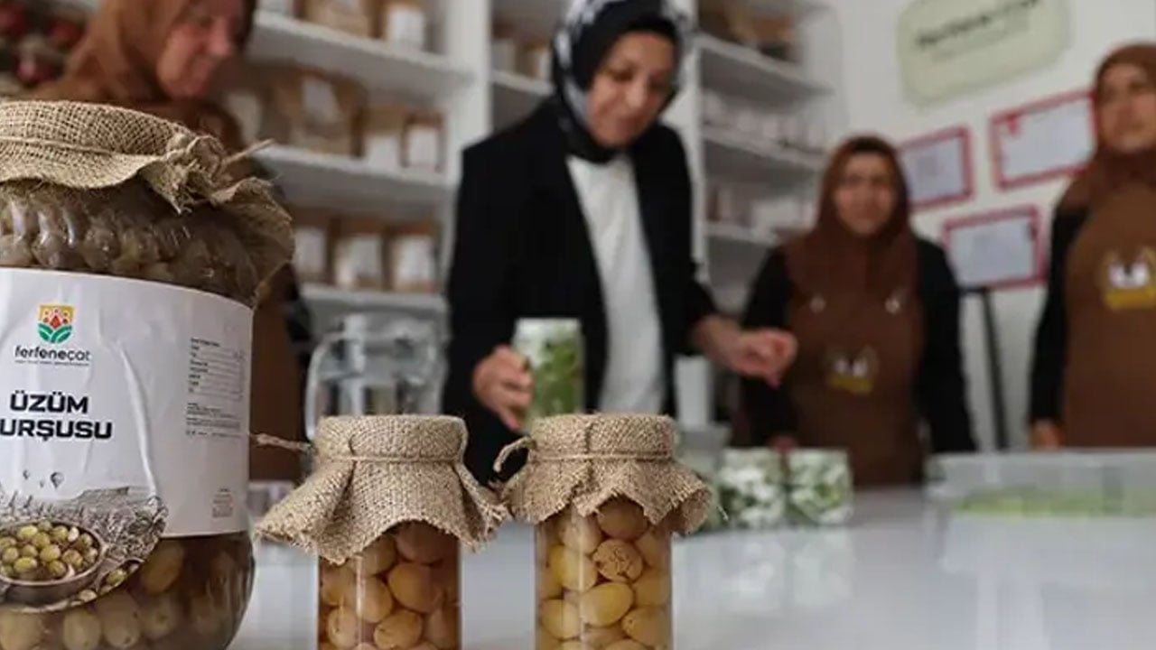 Kimseler bilmiyordu, şimdi tescillendi: Kadınların geleneksel yollarla elde ettiği sıra dışı yemek: Üzüm turşusu