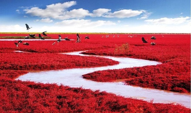 Foto - Kimsenin bilmediği dünyadaki harika yerler! Buralara giden dönmek istemiyor