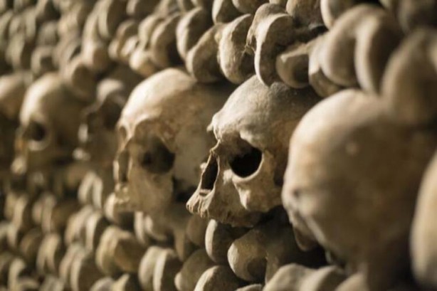 Foto - Kimsenin girmeye cesaret edemediği yer! Korkunç görüntüler