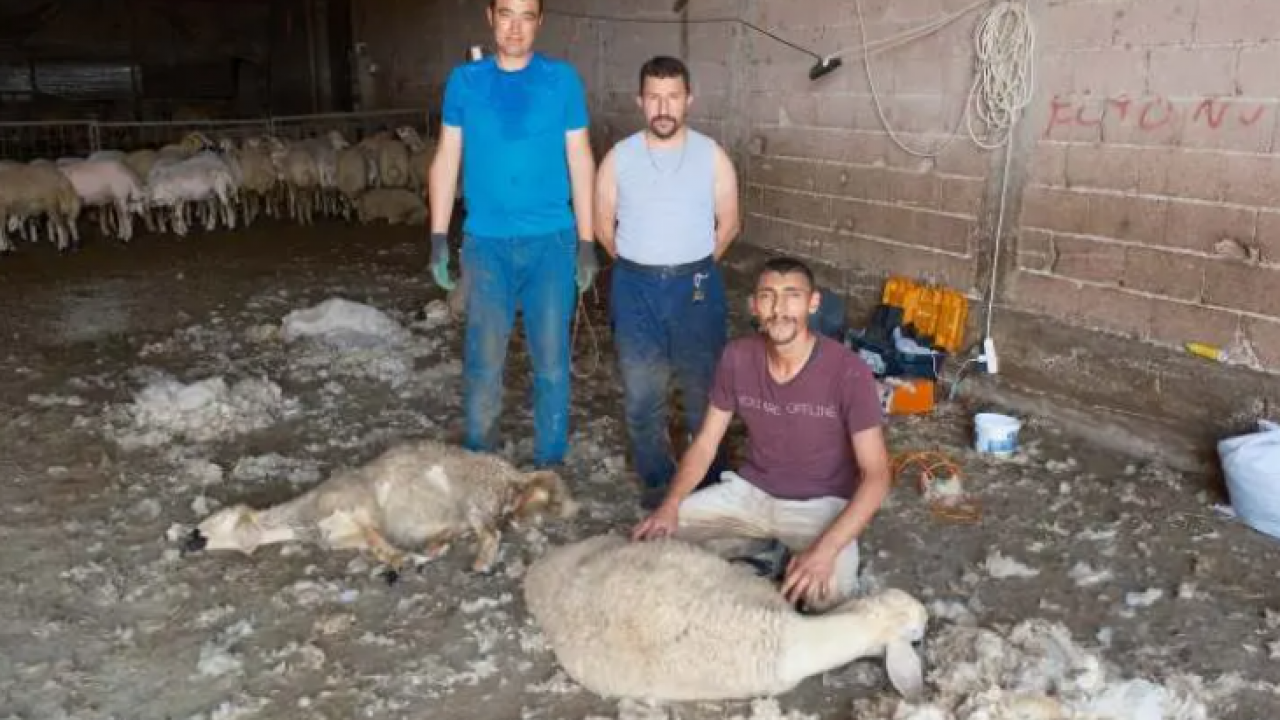 Kimsenin yüzüne bakmadığı meslek: Aylık 250 bin lira kazandırıyor!