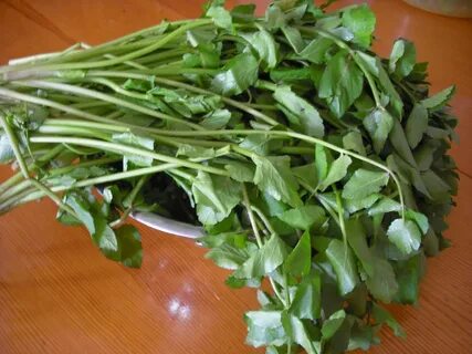 Foto - Kimyasalı bol şampuanlara elveda! Bu ot saçta kepek bırakmıyor