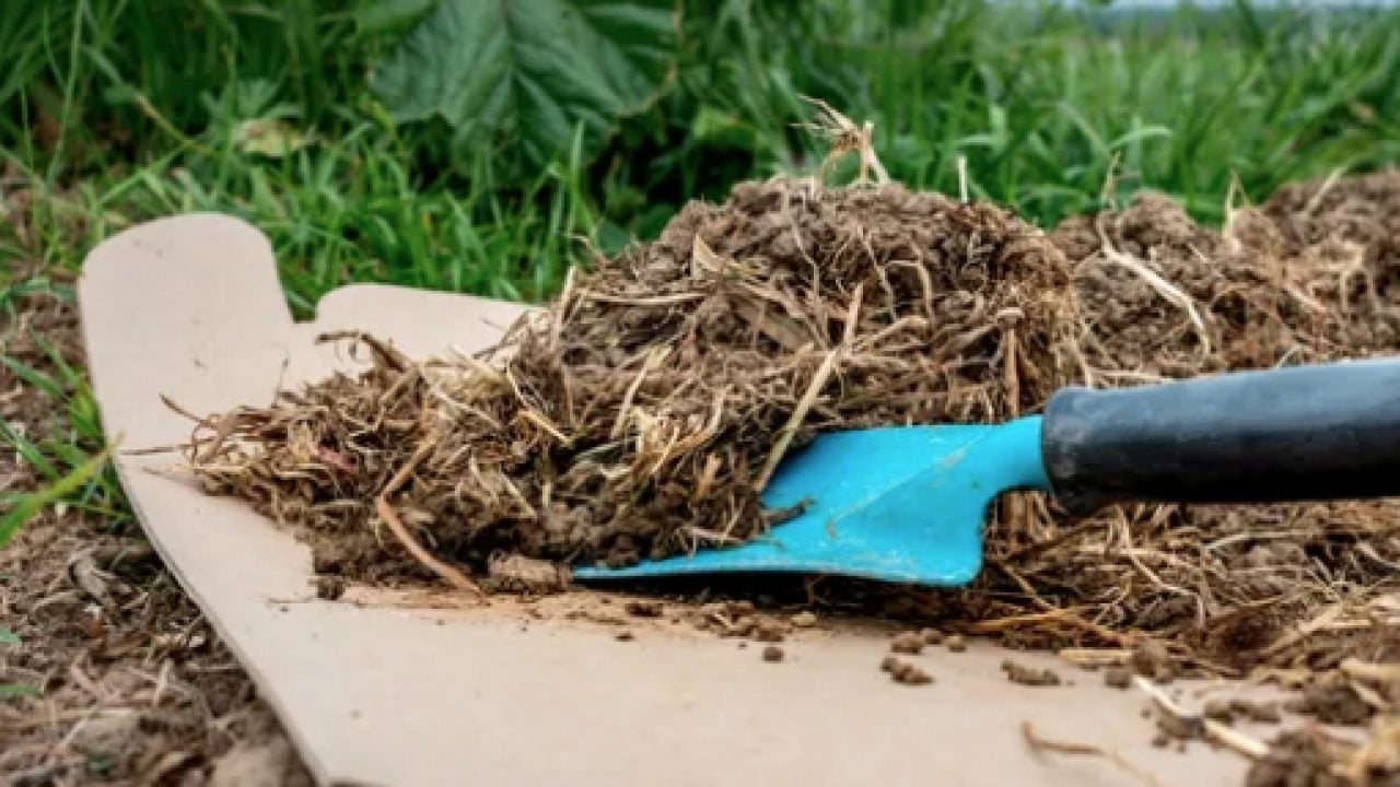 Kimyasallara ve plastik örtülere... Kutuları sakın çöpe atmayın!