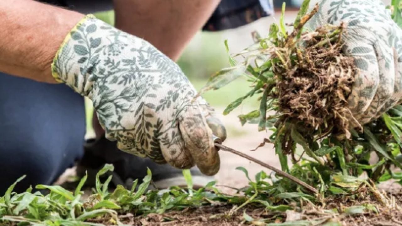 Foto - Kimyasallara ve plastik örtülere... Kutuları sakın çöpe atmayın!