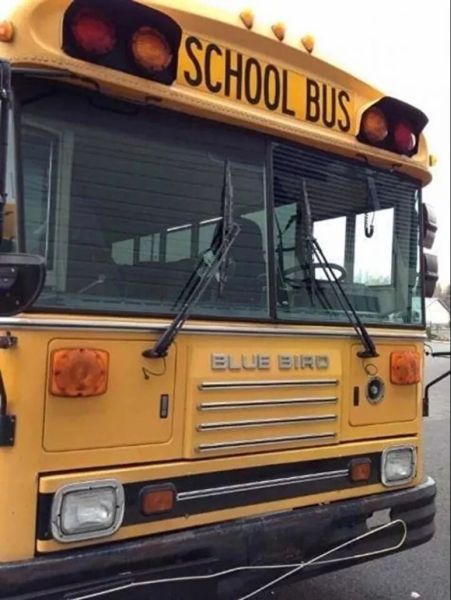 Foto - Kira zammına kızdı! 2800 dolara ev yaptı