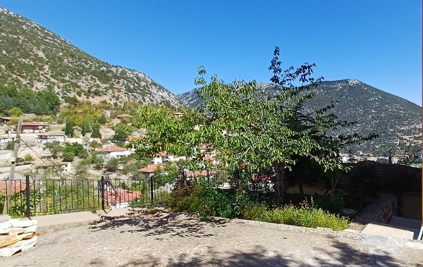 Foto - Kiraz ağacı mevsimleri karıştırdı! 