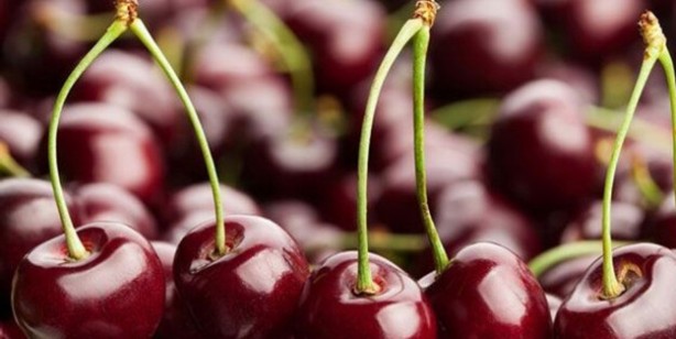 Foto - Kiraz sapı çayı tarifi: aktardan isteyin, alan parasını ziyan etmiyor! Bundan ziyan eden pişman!