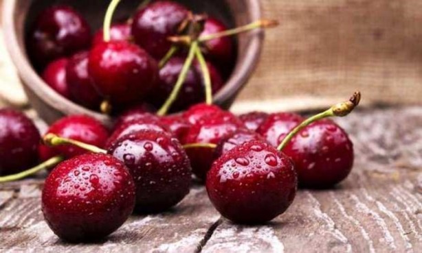 Foto - Kiraz sapını sakın atmayın! Öyle faydaları var ki...