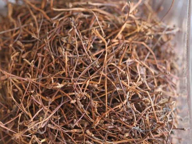 Kiraz sapını sakın atmayın! Öyle faydaları var ki...