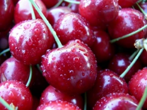 Foto - Kiraz sapını sakın atmayın! Öyle faydaları var ki...