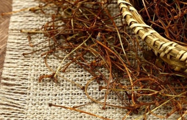 Foto - Kiraz sapını sakın atmayın! Öyle faydaları var ki...