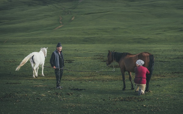 Foto - Kırgızistan'ın yaylaları objektiflere yansıdı