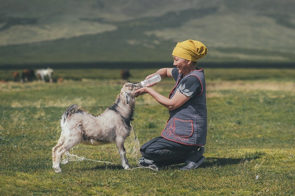 Foto - Kırgızistan'ın yaylaları objektiflere yansıdı