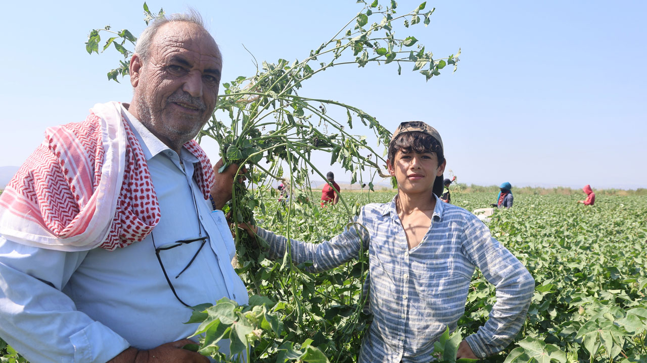 Foto - Kırıkkale’de korkutan tablo! Gölet yatağında karpuz yetişti
