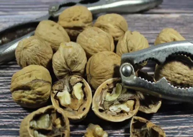 Foto - Kırıldıktan sonra atılan ceviz kabuğu meğer bu işe yarıyormuş! Mikroplara savaş açıyor