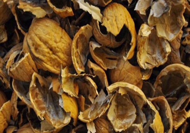 Foto - Kırıldıktan sonra atılan ceviz kabuğu meğer bu işe yarıyormuş! Mikroplara savaş açıyor