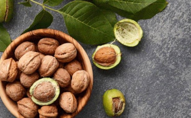 Foto - Kırıldıktan sonra atılan ceviz kabuğu meğer bu işe yarıyormuş! Mikroplara savaş açıyor